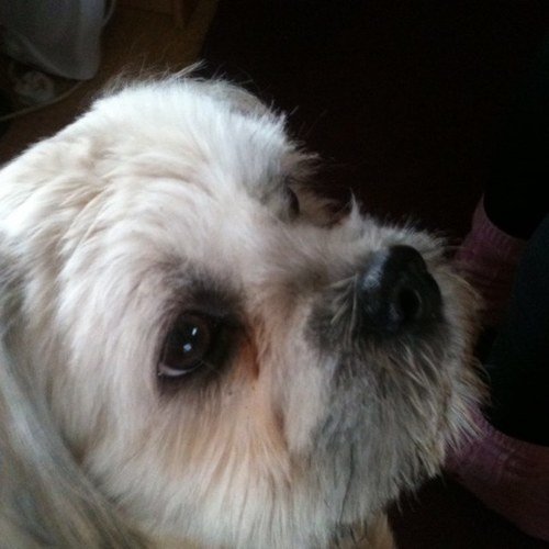 xUCloudMcGrath's profile picture. #UD Brim leaning, Cup tilted, Blunt flicking