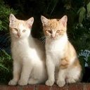 Lea Frank - @MiniLea1985 - Twitter