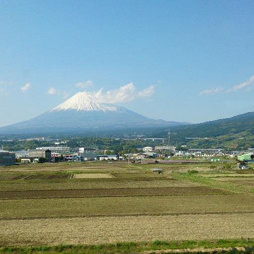 麻酔はアートとサイエンスの融合、家族と地球にやさしい麻酔・全身管理が一番大切です。
