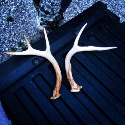 Living for the outdoors Huntin the appalachain mountains Follow us on instagram @j_j_outdoors for more pics and videos to come