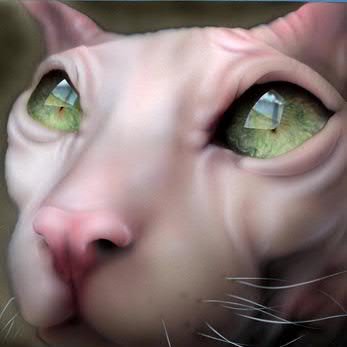 Assimption's profile picture. - Друзья, что мы без творчества? Мы звери, просто звери. Потому что зло, оно ничего не производит, а с творчеством мы люди, - ЮЮ