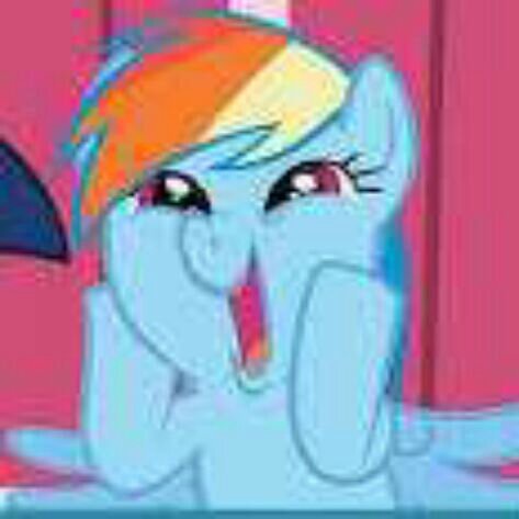 Hey everypony!! I'm Rainbow Dash. My favorite things to do are try out for the wonderbolts, clear the clouds, and just be AWESOME!!