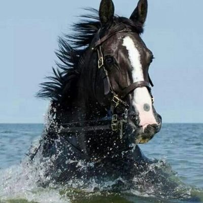 ‏‏‏37.س.سوري.مقيم الرياض.‏‏جااد.لمن تريدالزوااج.يفظل تكون.من35 لل 50 وان كانت مطلقه او ارمله او لديها اوﻻد ﻻمانع .يكون لديها السكن.الجاده ترسل.والله.جادجدا