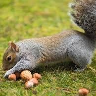 LynnRich11's profile picture. Loves to travel.