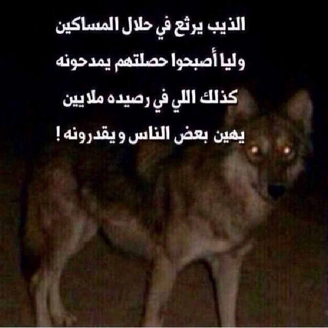0506126832