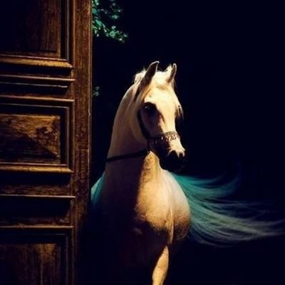 جمييله هي الحيآه عندمآ تكووون ...《لله》♡