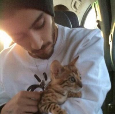 — ''why fall in love when you can fall asleep''