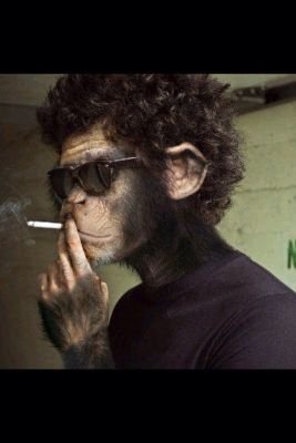 tilernafe's profile picture. 