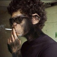 nathanial farrugio (@tilernafe) 's Twitter Profile