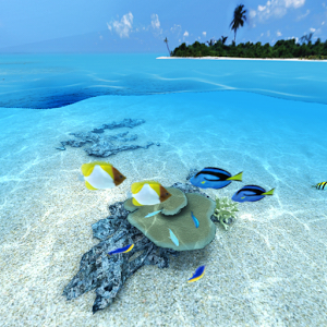 okinawa_cyura's profile picture. 沖縄のキレイな海とのんびりした人柄が大好きです。
沖縄のことをつぶやきます。