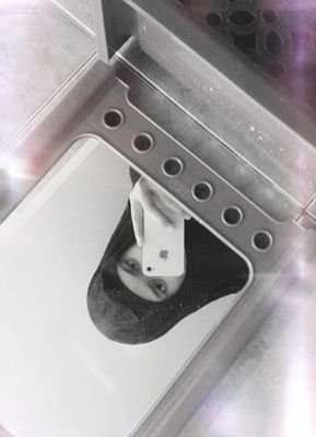 hafsahnr's profile picture. Thank you Allah for choosing the great religion of #islam for me.