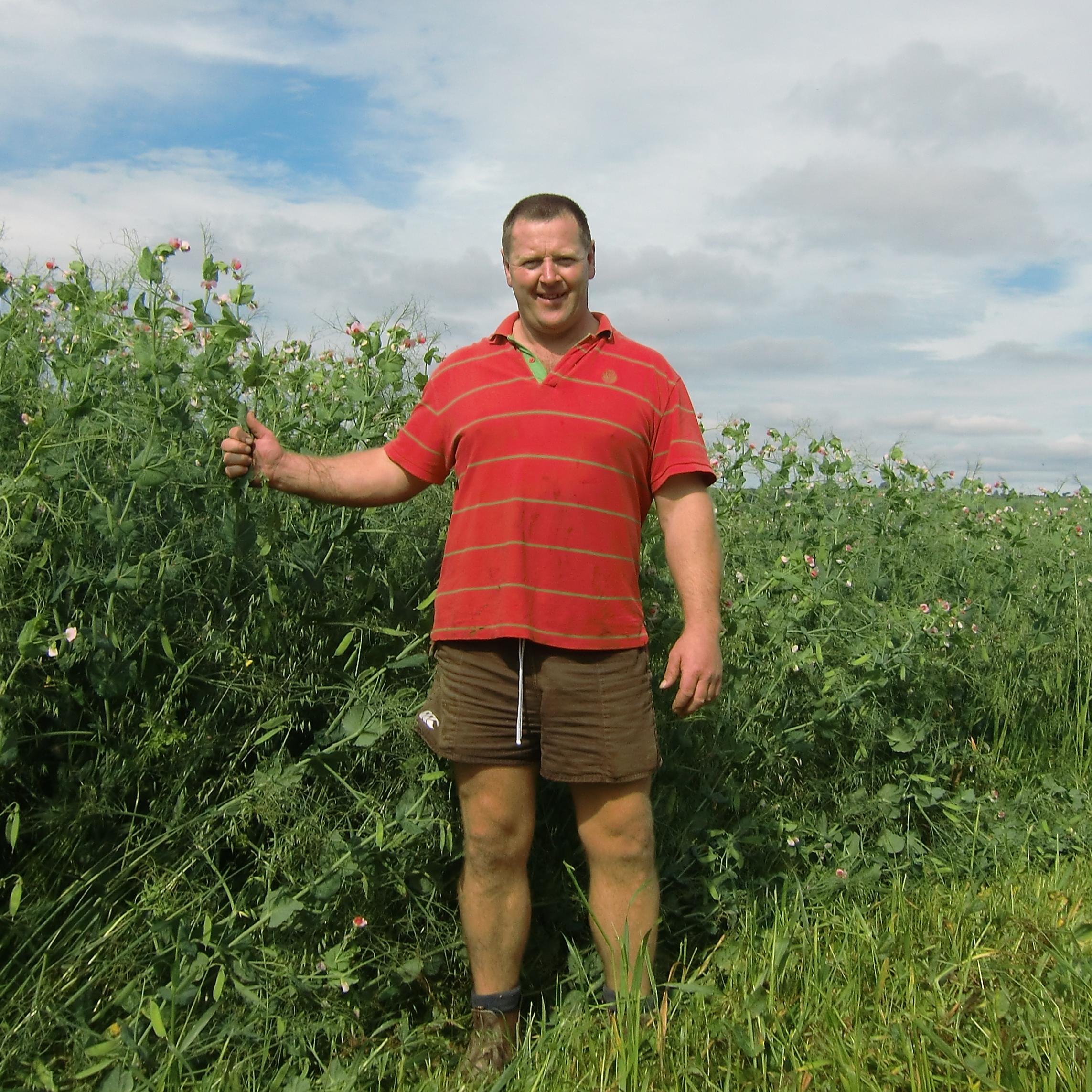 SeimonThomas's profile picture. Dairy Farming in North Pembrokeshire