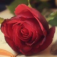 your smile your profiles first in this morning
Are you health,religion and in charity,and in the heart of HE, and the impact of those around you is beautiful!