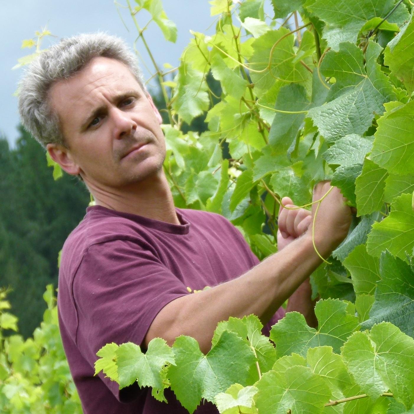 HarakekeFarm's profile picture. Hand crafted Chardonnay, Riesling and Pinot Noir from a 3 hectare Moutere vineyard.