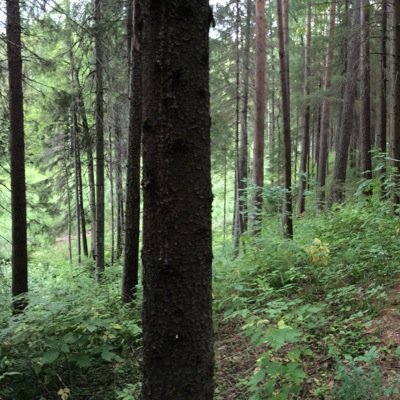 О компромиссах,кошках и местонахождении.