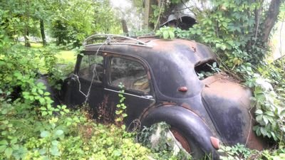 jan4141's profile picture. 