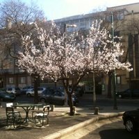 Rosa Filmes (@rosafilmes) 's Twitter Profile