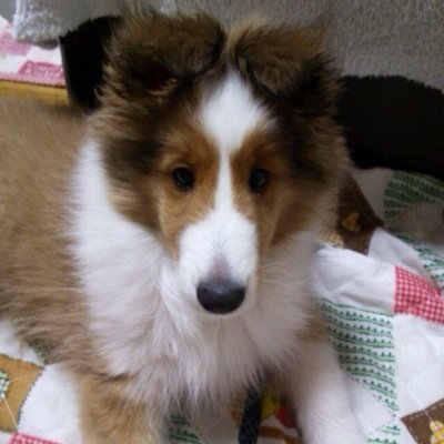 mker_137's profile picture. 裏アカですよ〜