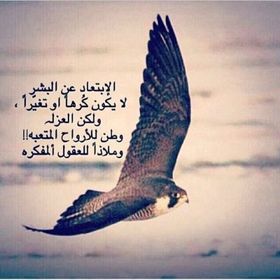 لا إله إلا الله