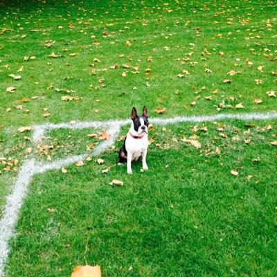 experiment_eco's profile picture. 