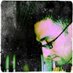 Wisam Selbi (@wisamsama) Twitter profile photo Wisam Selbi (@wisamsama) Twitter profile photo
