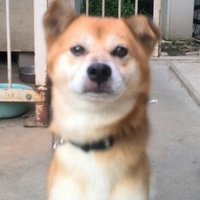 虚 (@hikimarugt) 's Twitter Profile