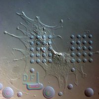 John Hunt (@johnhunt_icfbse) 's Twitter Profile
