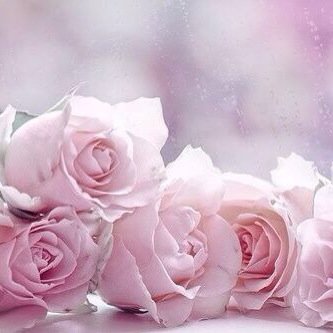 mama563947116's profile picture. زعلي نادر لكنه عصيب