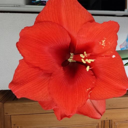 tirvaudeyc's profile picture. 