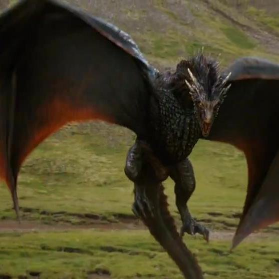 Drogon, hijo de la madre de dragones. Hermano mayor de mi camada. Esperando a conquistar los 7 reinos. Vuelo por las praderas de Windows a mis anchas.