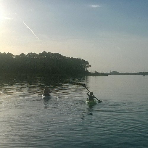 danbass1234's profile picture. 