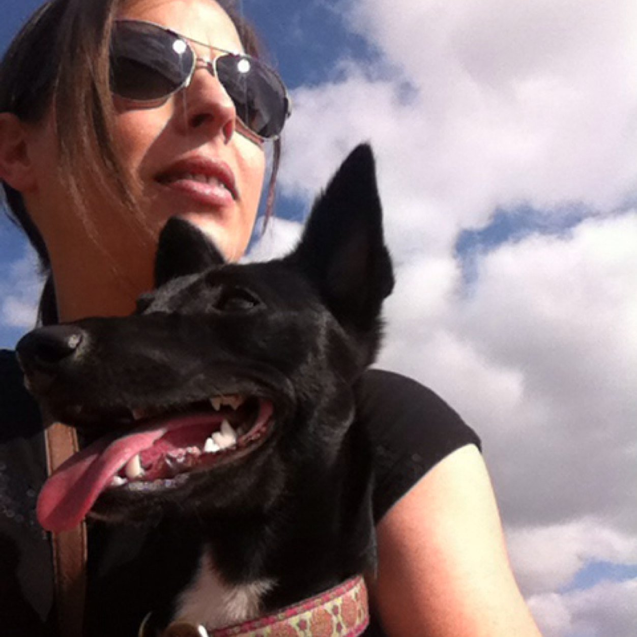 NaoiseClarke's profile picture. Love cats, dogs, Suede, red wine and shoes. Work for the DSPCA.ie, please support!