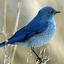 Dan Neil - @Cpweet - Twitter