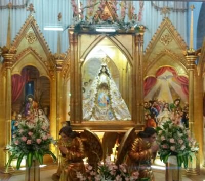 analuisasos's profile picture. 