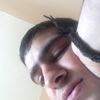 Ayush_er's profile picture. 