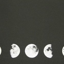 taylor80727692's profile picture. 