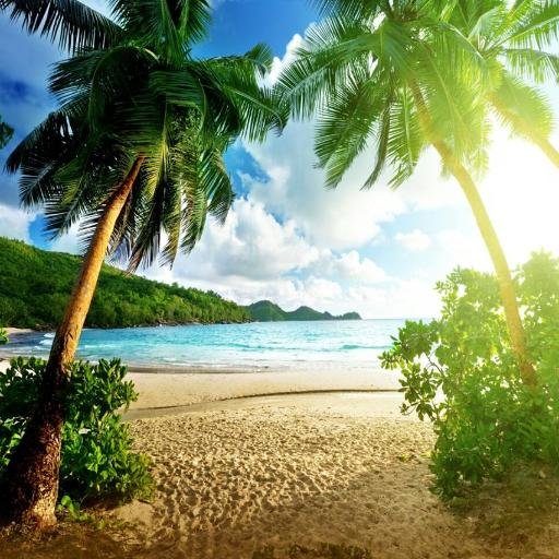 Enriching peoples lives through the world of travel. You're traveling anyway. Why not save money, reduce your taxes, and get paid? https://t.co/c6UddCkuNx