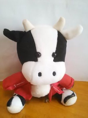 momo20081219's profile picture. 私、狆の女の子（もも）６歳です。高齢者の仲間入りしたおじさんと暮らしています。心根がとっても優しく、安らぎを与えてくれる、と言ってくれます(^_-)ちょっと内弁慶かな？