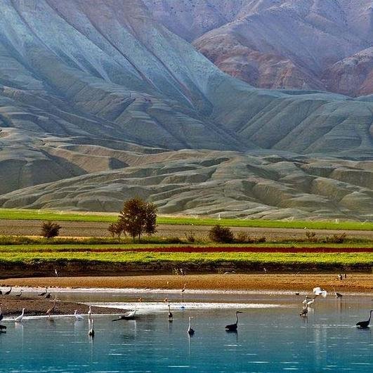 raphaeldaligny's profile picture. 