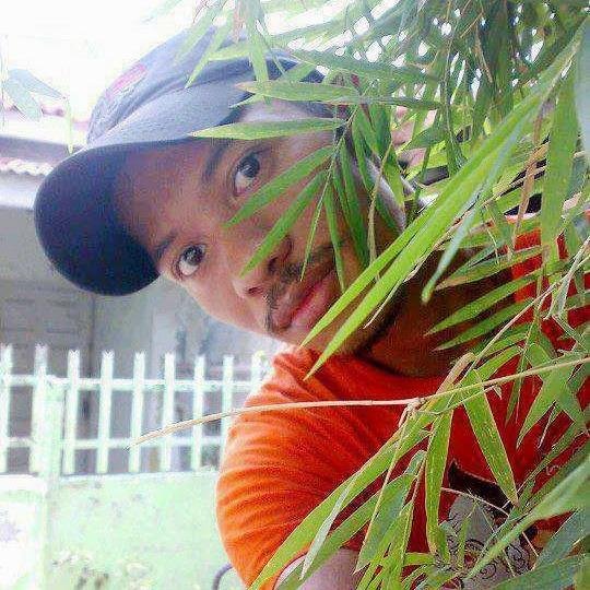 KirahVsnet's profile picture. 