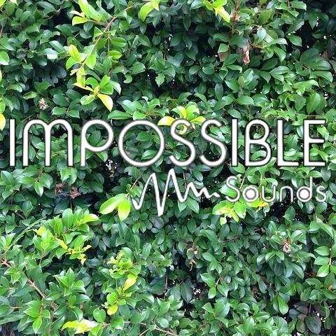 Formed by @SergioOriginals and @puyu98.Electronic Music Page. Free Download Tracks. Contact & Promo: impossiblesounds@gmail.com