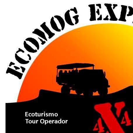 Turismo Aventura, Ascenso al volcán Villarrica, Trekking, Rafting,