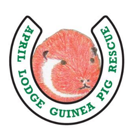 April Lodge Guinea Pig Rescue