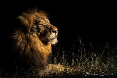 openforum22's profile picture. 