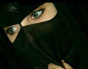 شيخه أدب. شيخه نسب.شيخه حلا...