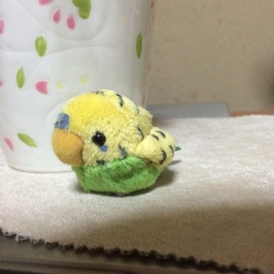 love_bird_pii's profile picture. ピアノ弾けないけど清塚信也さんが大好き💕今は飼ってないけど鳥が好き🦜 いいねしてくれる人ありがとうございます🙏のんびり呟きます☺️