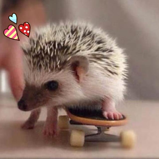 あしょぼ太ت

♡Loveت☆　Movie,Drama,Game,Music