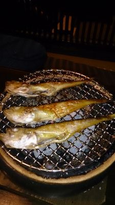 シルバーアクセ、名古屋グランパス、ビールをこよなく愛するおっさんです(^ω^)