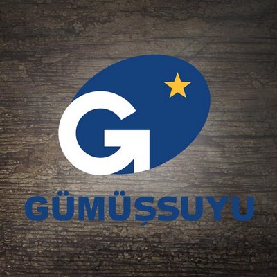 Gumussuyu Premiumwool 160x230 4m2 Hali Akrilik Yun Trendyol