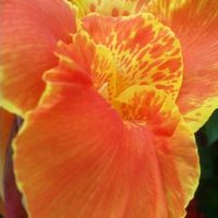 Tariq. H. M. S. (@talmantheri) 's Twitter Profile Photo Tariq. H. M. S. (@talmantheri) 's Twitter Profile Photo